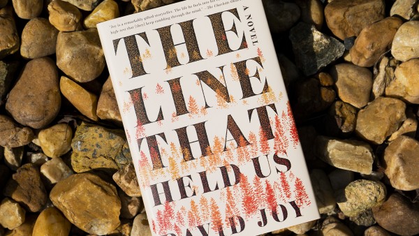 The Line That Held Us – Oceans of Books